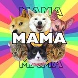 KabosuKenNeiroOnigiriGinnanAzalea $MAMA