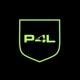 P4L AI (chat)