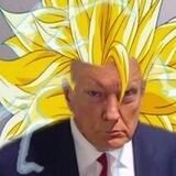TrumpBallz - Portal