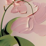 VISBL