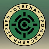 Стугна звітує