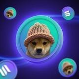 Wif On Sol - $WIF | Solana