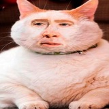 Meocolas Cage Party