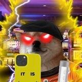 chefin cooks alpha