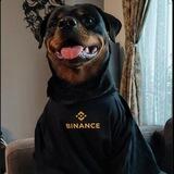 DOG BINANCE CHIEF PORTAL