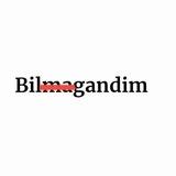 bilgandim: