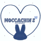 𐙚 . .Mocca—chin's! <3