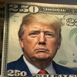 Giveaways