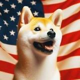 Neiro America | Portal