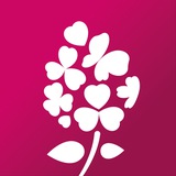 Gortenzia Garden | Питомник гортензий
