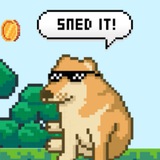 8-DOGE CTO