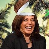 Coconut Portal