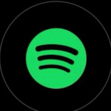 Spotify 2025 l Музыка