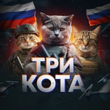 Три Кота|БПЛА