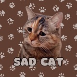 $SADCAT - PORTAL