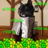 XP COM