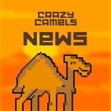 Crazy Camels News