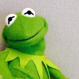 Kermit on SOL