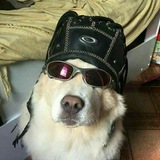 PETRSKISTORE