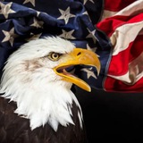 AMERICAN MASKOT