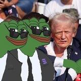 TRUMP'S AGENT PEPE - PORTAL