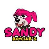 Boy's Club Pet - $SANDY | Solana