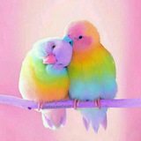 اینجا همه چیز درهم