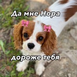 Yeacofo