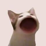 POPCAT | ETH