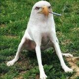 Smoking Eagle Dog CTO