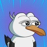 $STEVE the SEAGULL | PORTAL