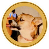Ken - The First DOGE