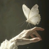 『𝓓𝓲𝓵𝓪 』