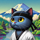 $MIYAGI