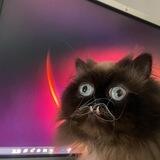 GIZMO