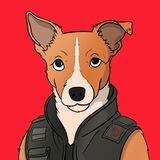 $PATRON - Hero Dog