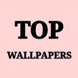 ОБОИ || WALLPAPERS