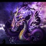 神龙️集团综合业务