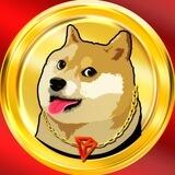 DOGE ON TRON
