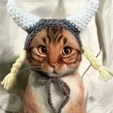 Floki Cat Portal