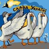 БФ «Гусятко»