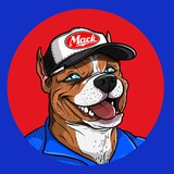 Ginu On Chef