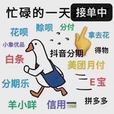 京东白条花呗医保信用卡抖音月付分付分期携程拿去花安逸花套现秒到