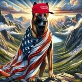 🇺🇸 MAGA DOG -BSC