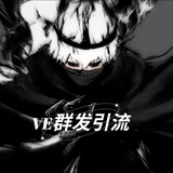 VE群发引流代理频道