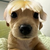 Mama_BILLY
