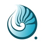 DivePhotoTeam