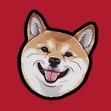 Hachi-Kun | 0x100 CTO