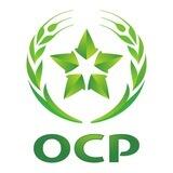 OCP Group