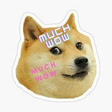 muchwow | Community TG